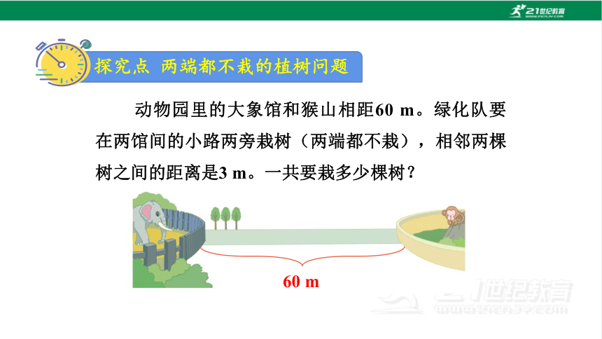 新人教版数学五年级上册7.2 两端都不栽的植树问题课件（17张PPT)