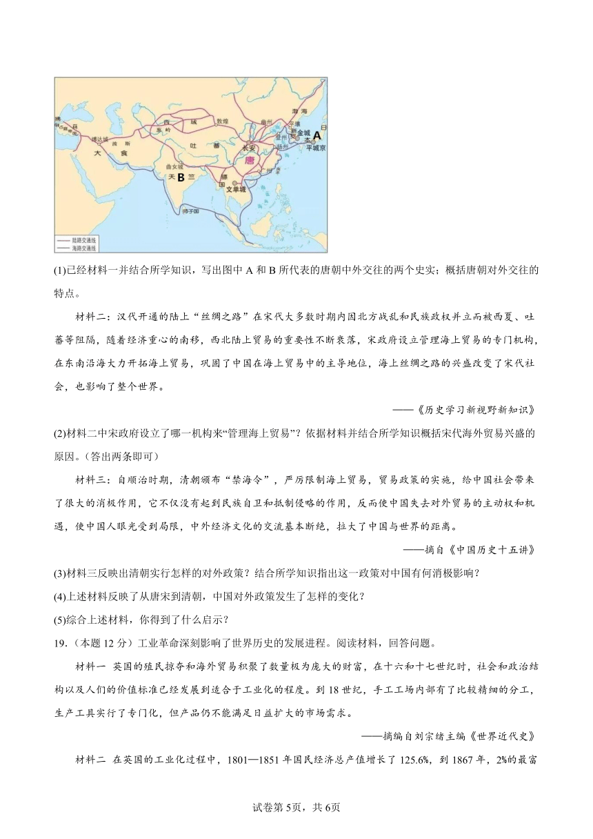 2024年安徽省合肥市中考模拟历史试题A（含解析）