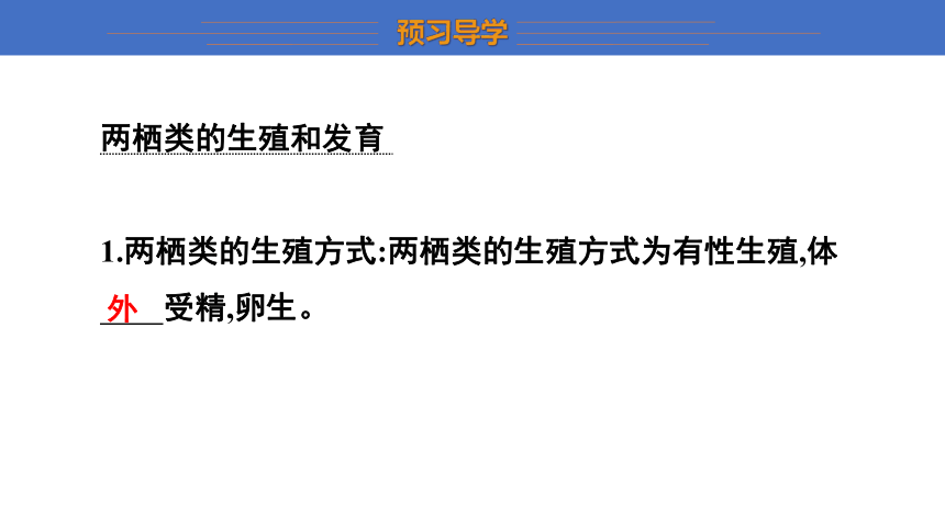 6.1.2 动物的生殖和发育 第2课时课件(共20张PPT)2023-2024学年初中生物冀少版八年级下册