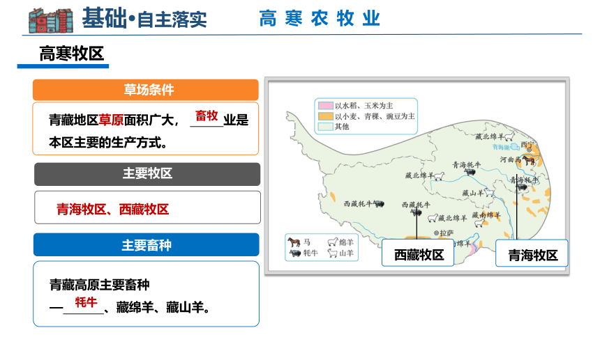 第九章 青藏地区 2022-2023学年八年级地理下学期期中期末考点大串讲课件（商务星球版）(共43张PPT)