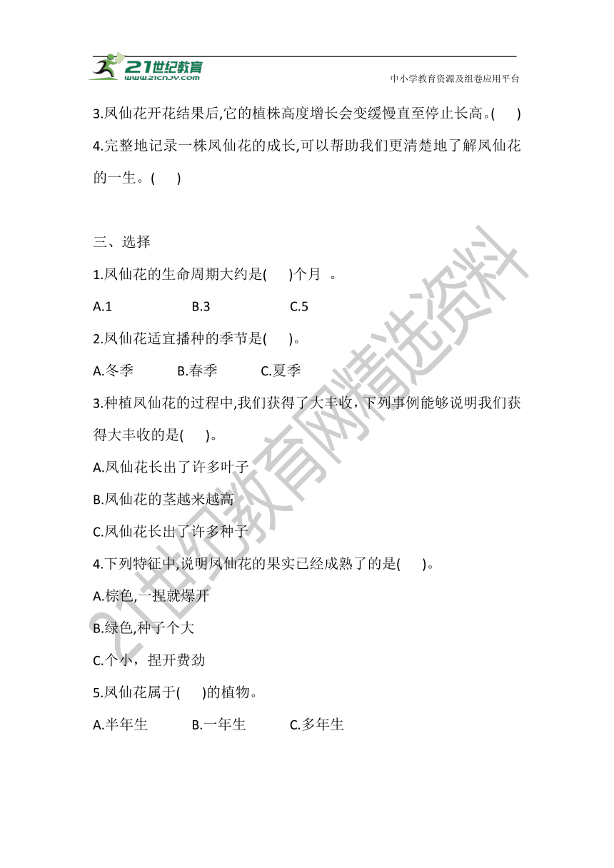 2.8 凤仙花的一生 同步练习（含答案）