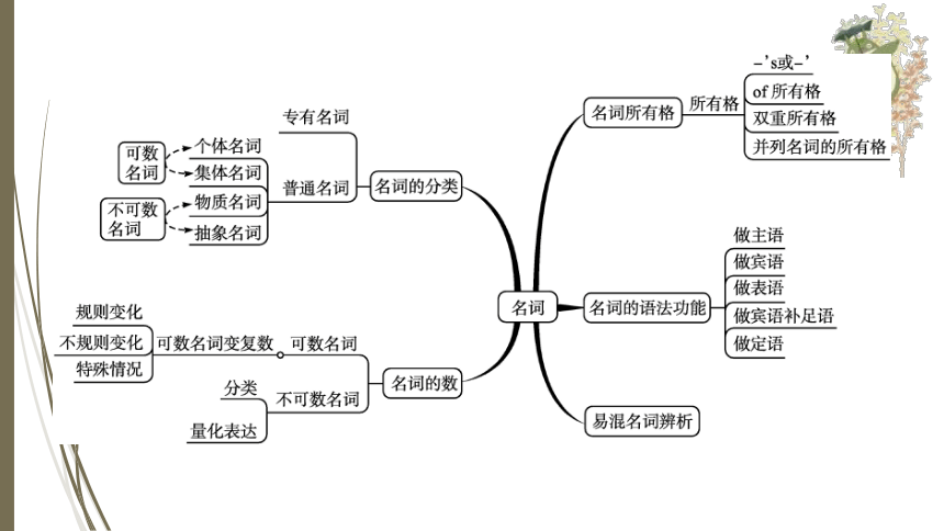 人教新目标中考英语复习--名词（共有PPT76张）