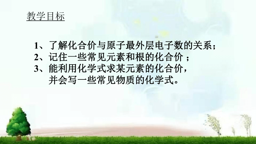 2022年鲁教版（五四制）化学八年级全一册 3.3.2 化合价 课件(共16张PPT)