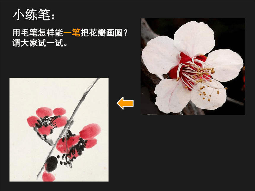 人美版（北京） 六年级上册美术 第9课  中国画-梅花画法 ▏课件（22张PPT）