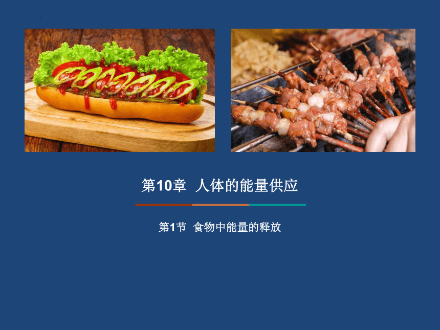 4.10.1食物中能量的释放课件（17张PPT）北师大版七年级下册