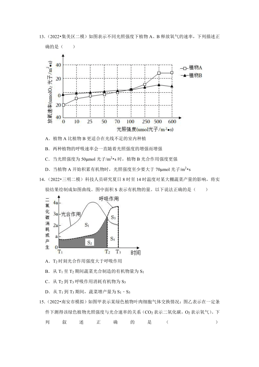 中考专题训练——4植物的光合作用与呼吸作用——2023年福建省中考生物（含解析）