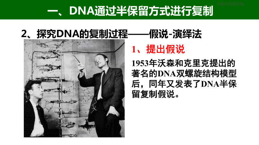 2022-2023学年高一下学期生物浙科版必修23.3DNA通过复制传递遗传信息课件（16张ppt）