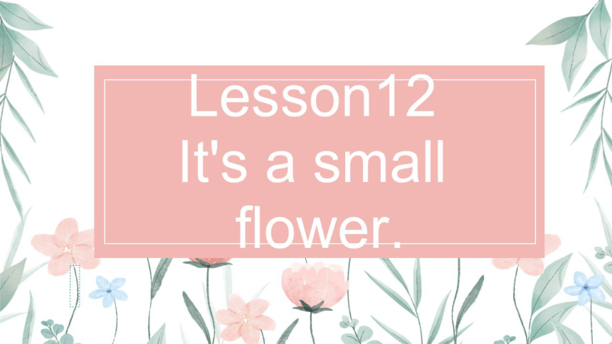 接力版四年级上册英语 Lesson 12 It’s a small flower同步课件（希沃版+图片版PPT)