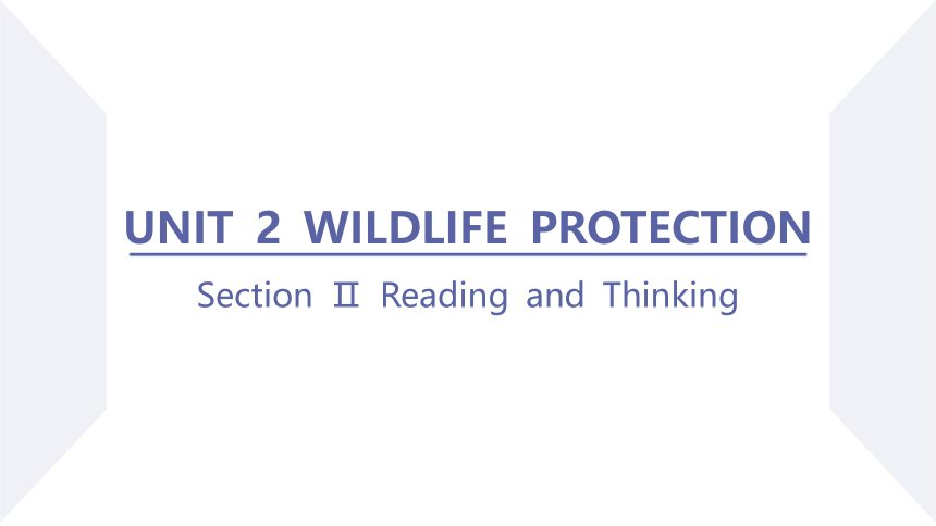 人教版（2019）必修 第二册Unit 2 Wildlife protection Reading and Thinking课件(共72张PPT)