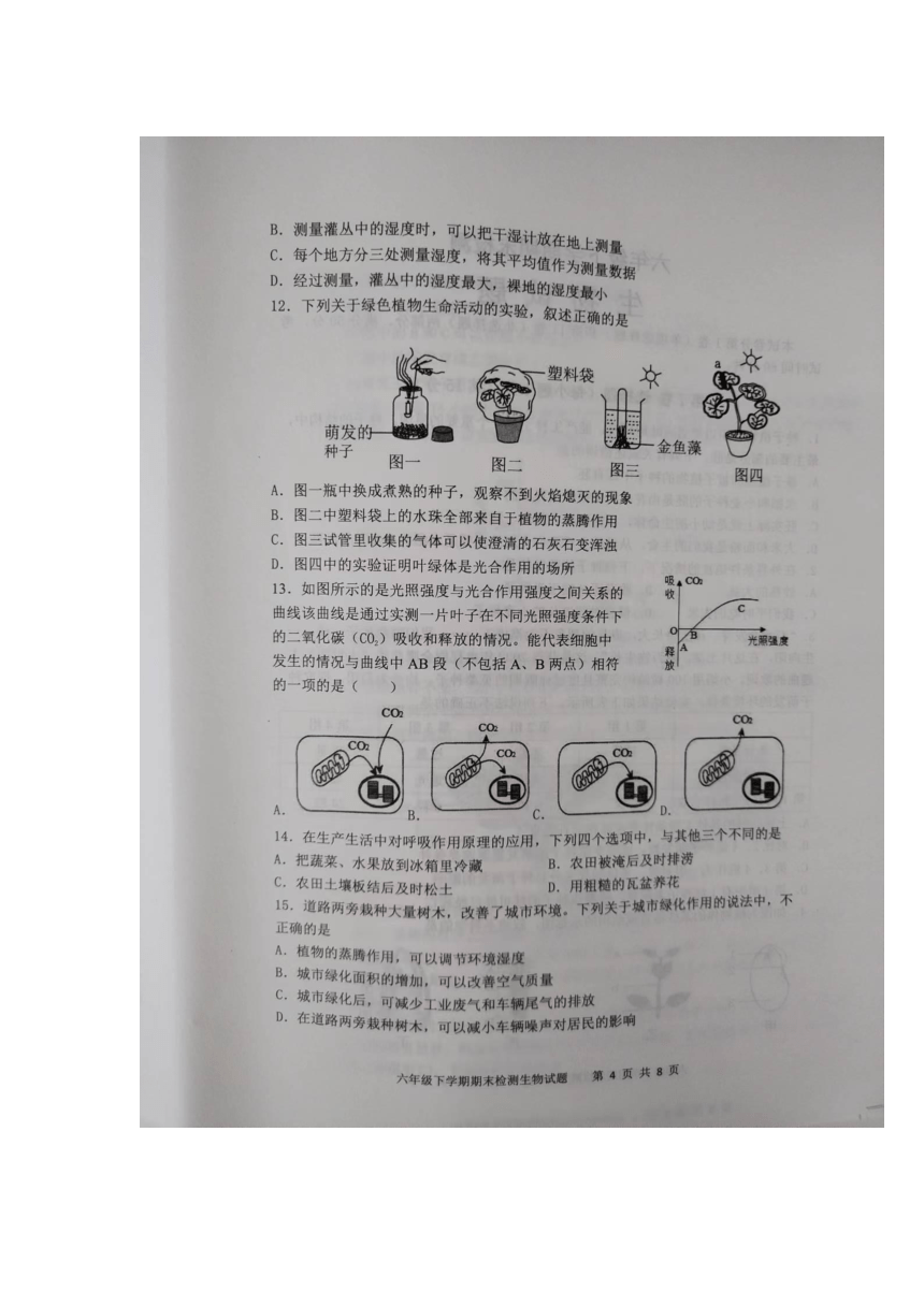 山东省泰安市新泰市2022-2023学年六年级下学期7月期末生物试题（图片版 无答案）