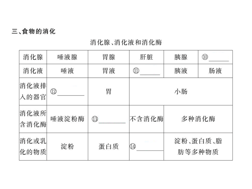 2020-2021学年北师大版七年级生物下册8.2 食物的消化和营养物质的吸收1 习题课件（15张PPT）