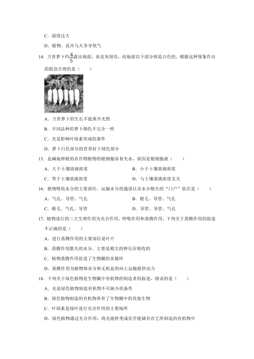 安徽省淮北市濉溪县孙疃中心学校2022-2023学年七年级上学期期末生物试卷（含解析）