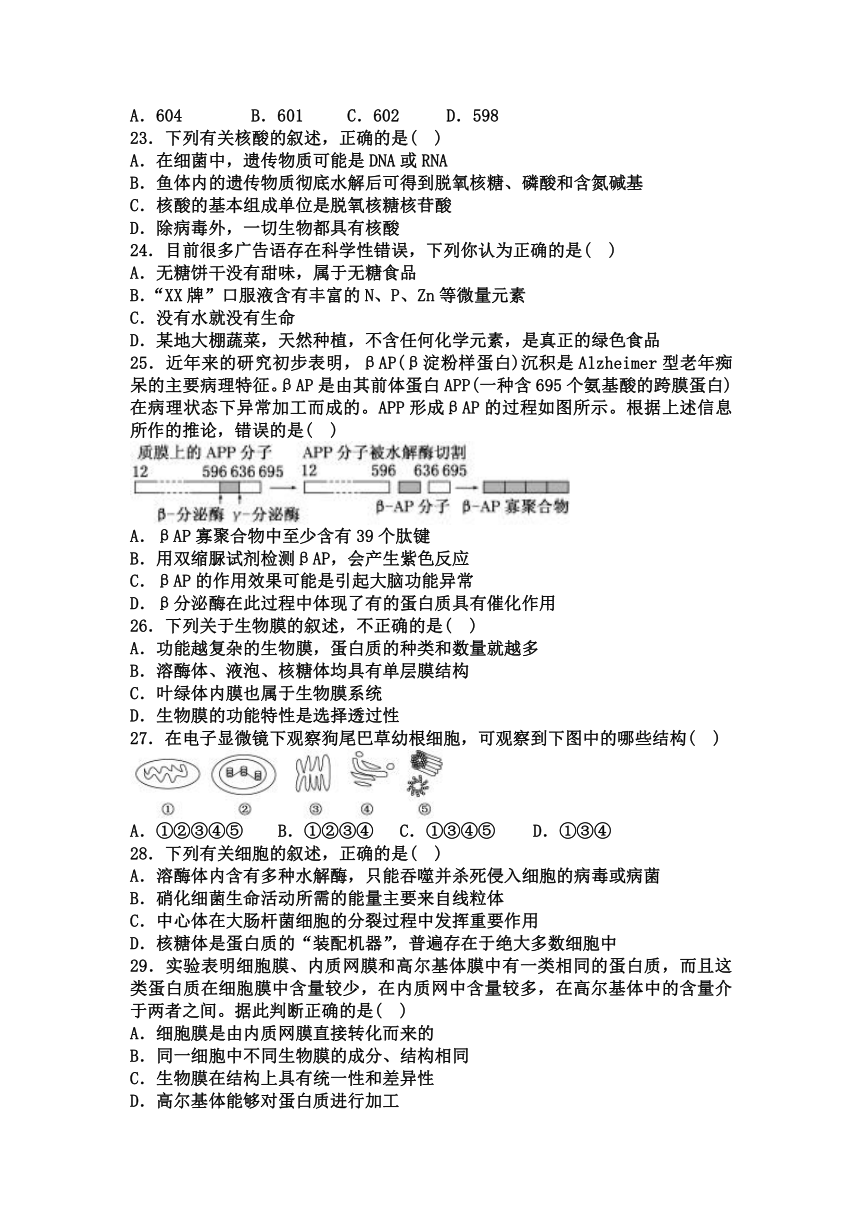 甘肃省民勤县第四中学2021-2022学年高一上学期期中考试（实验班）生物试卷（word版含答案）