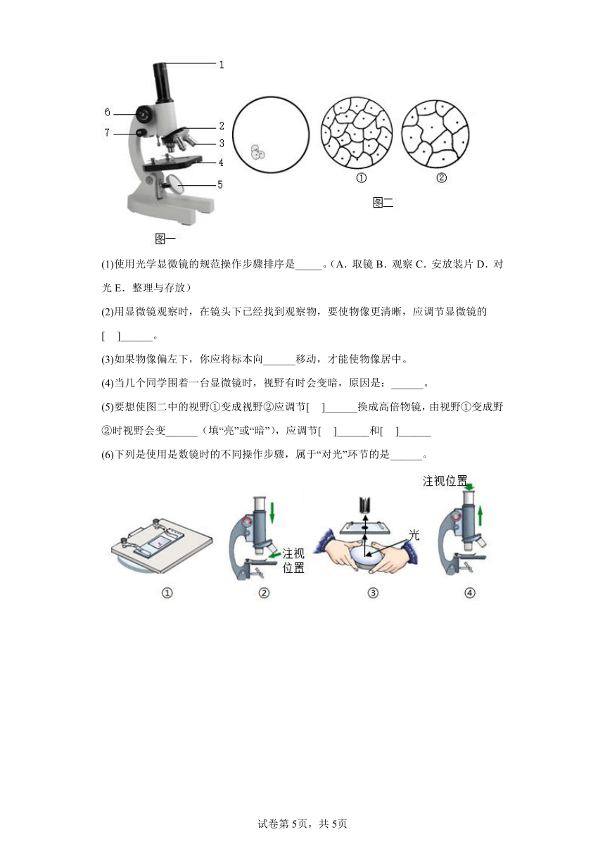 2.1.1练习使用显微镜同步练习（含解析）人教版七年级生物上册