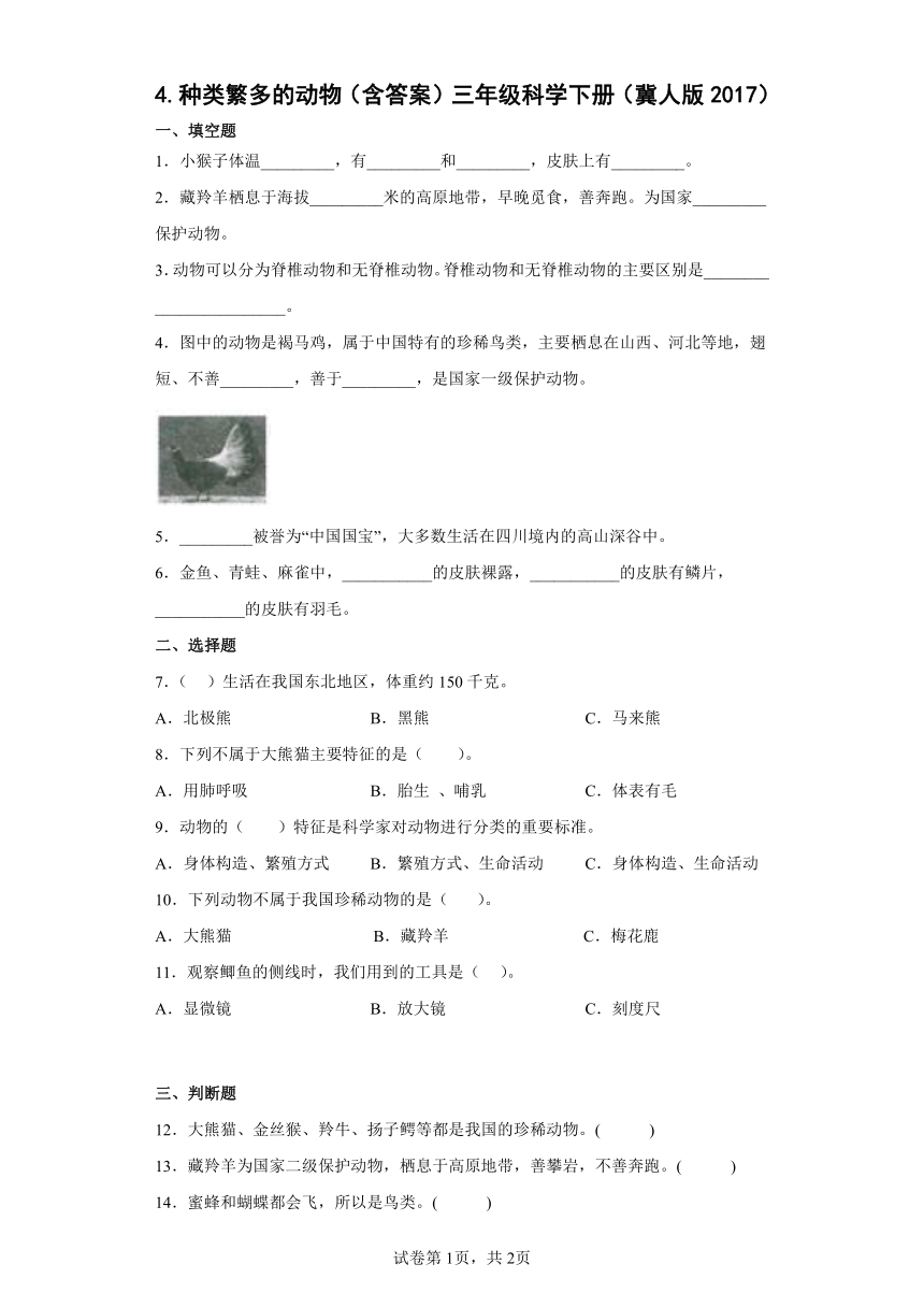 冀人版（2017秋） 三年级下册4.种类繁多的动物（含答案）