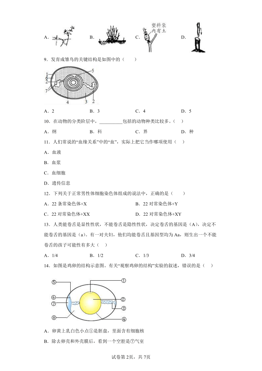 鲁教版生物八年级下册期末检测优化提升训练试题2（含解析）