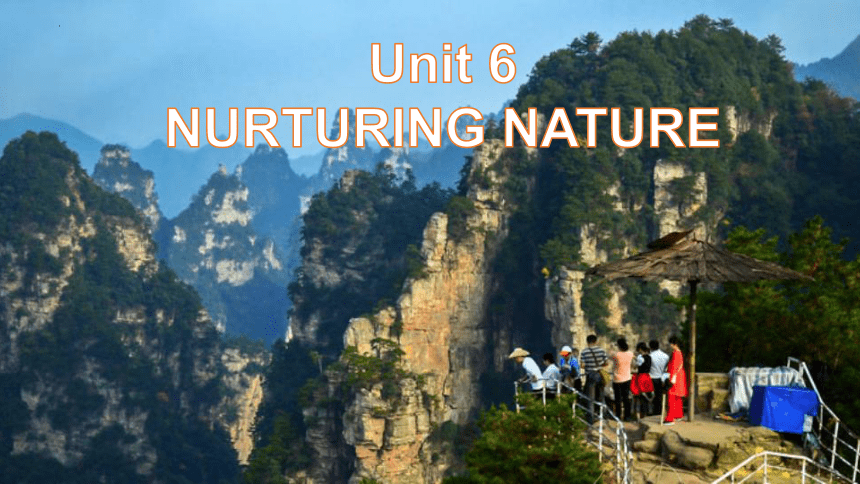外研版（2019）选择性必修第一册Unit 6 Nurturing Nature Starting out 课件-(19张ppt)