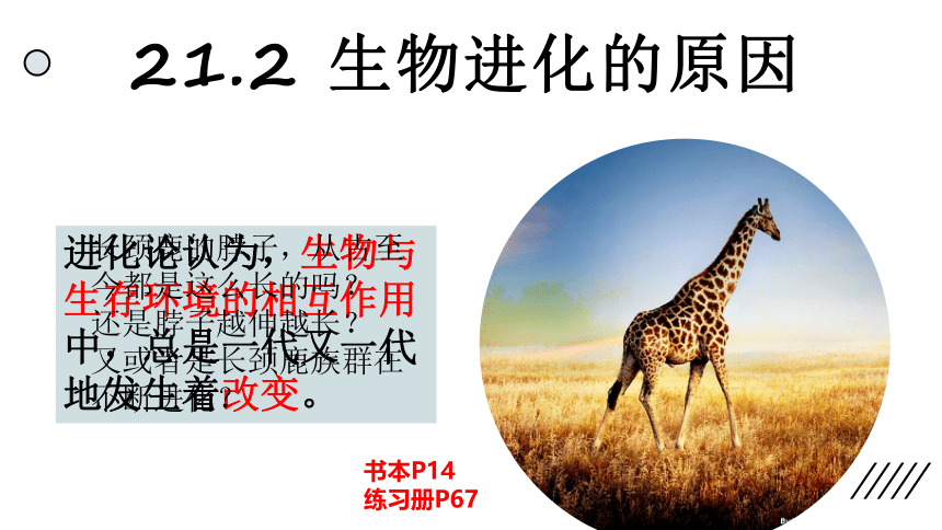 2021--2022学年北师大版生物八年级下册21.2生物进化的原因课件(共25张PPT)