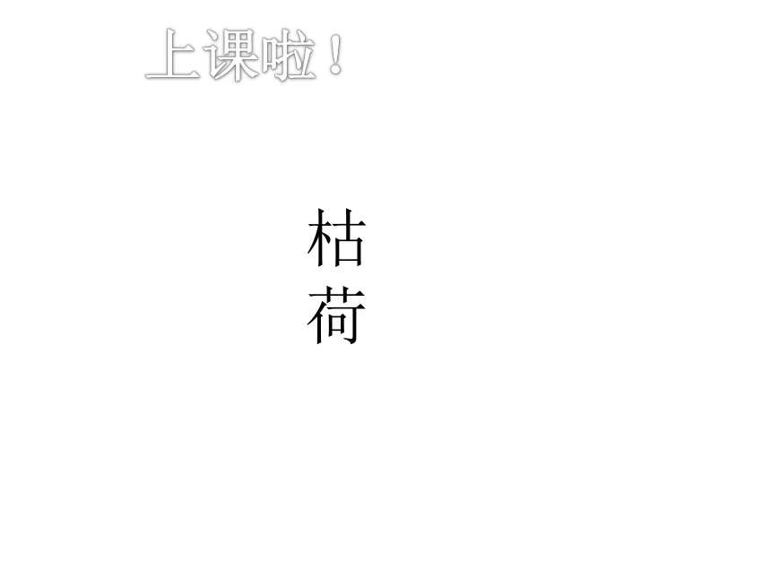 五年级下册美术 课外拓展：枯荷 课件 (18张PPT)