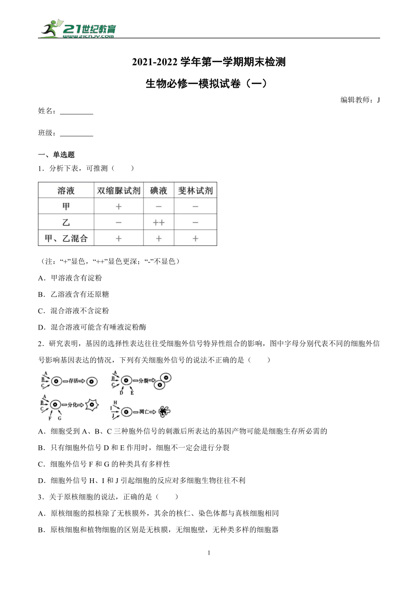 人教版（2019）高中生物必修一 分子与细胞 期末检测（Word版含答案）