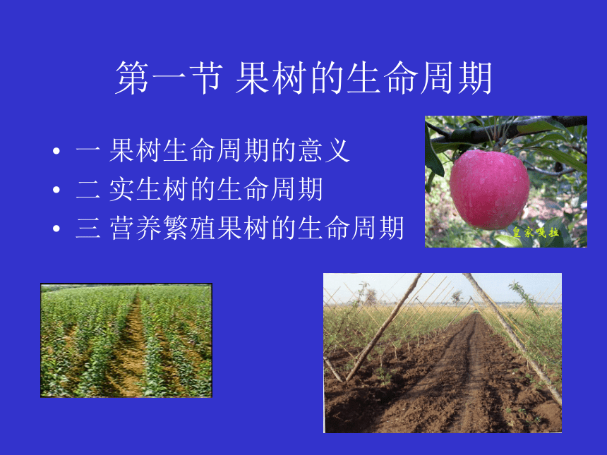 1.2 果树的生命周期和年生长周期   课件(共17张PPT) - 《果树栽培学（第4版）》同步教学（中国农业出版社）