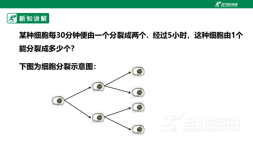 【新课标】2.9  有理数的乘方 课件（共26张PPT）