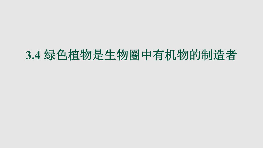 2021-2022学年人教版生物七年级上册3.4绿色植物是生物圈中有机物的制造者课件（共25张PPT 含视频）