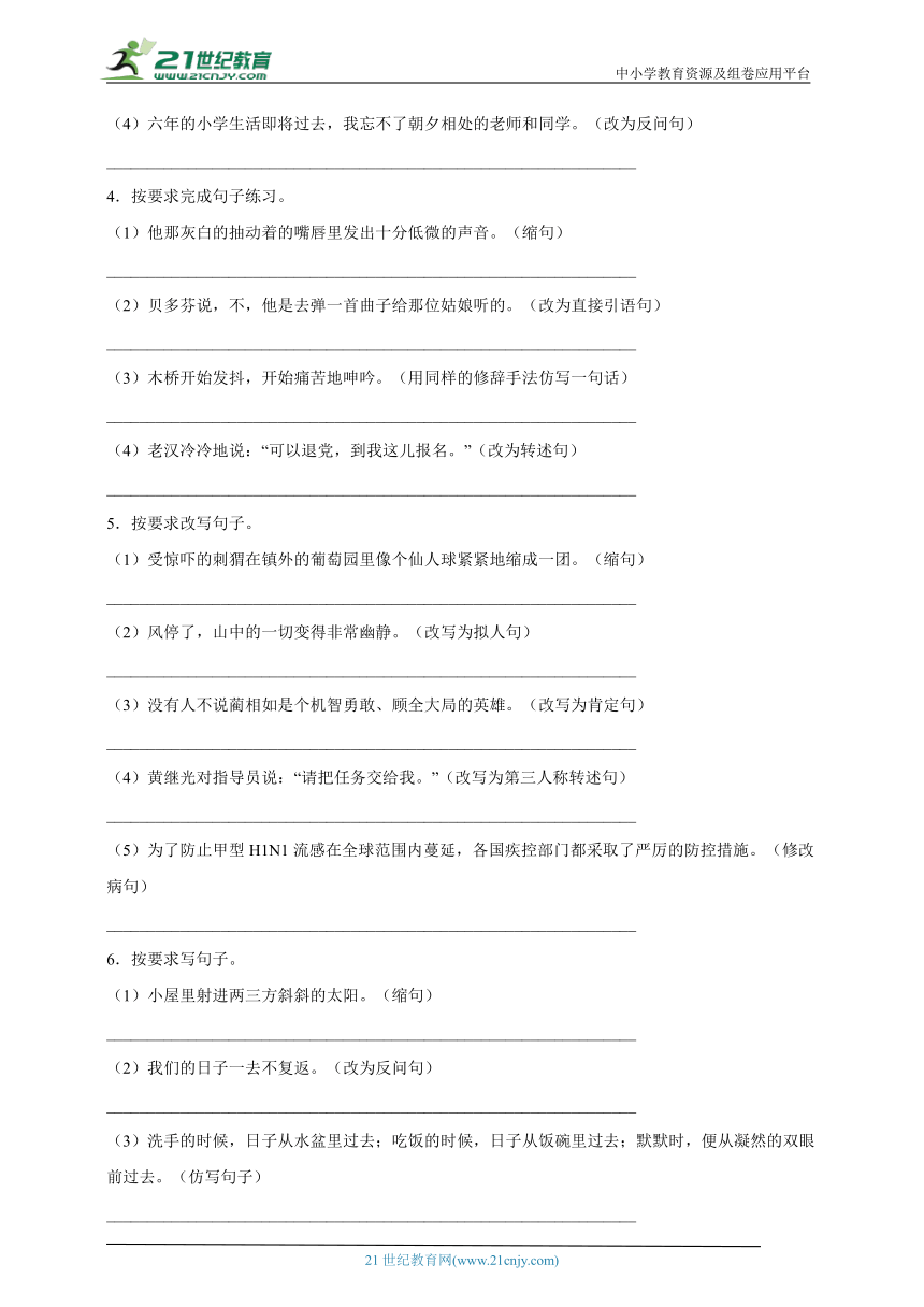 部编版小学语文六年级下册小升初分类特训：句子练习（一）（含答案）