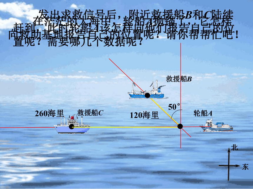 鲁教版（五四制）七上 5.1《确定位置》课件(21张PPT)