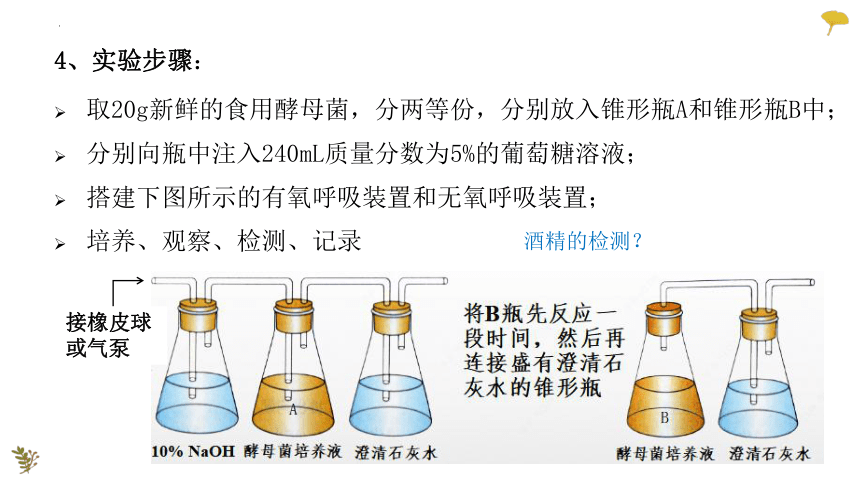 2022-2023学年高一上学期生物人教版（2019）必修1-5.3.1细胞呼吸的原理与应用课件（26张ppt）