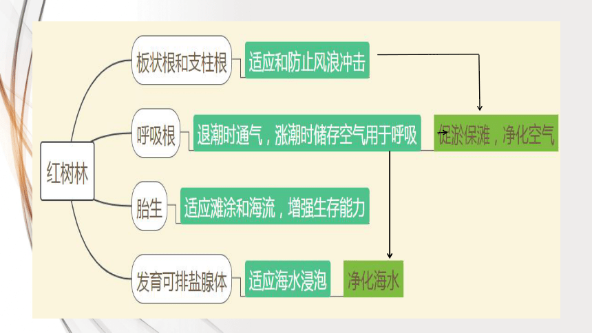 2.7植被与自然环境的关系 教学课件（49张）