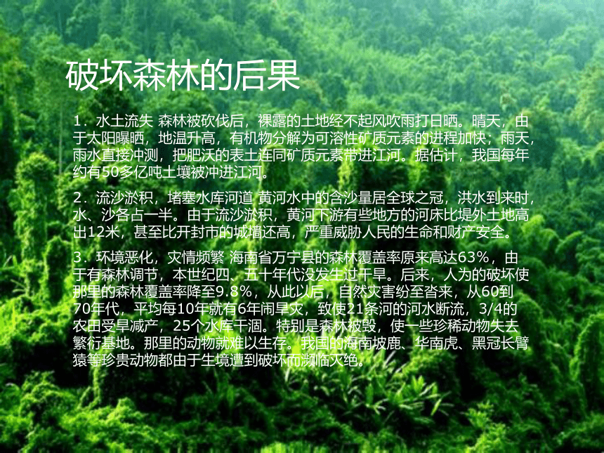 保护森林(共11张PPT)