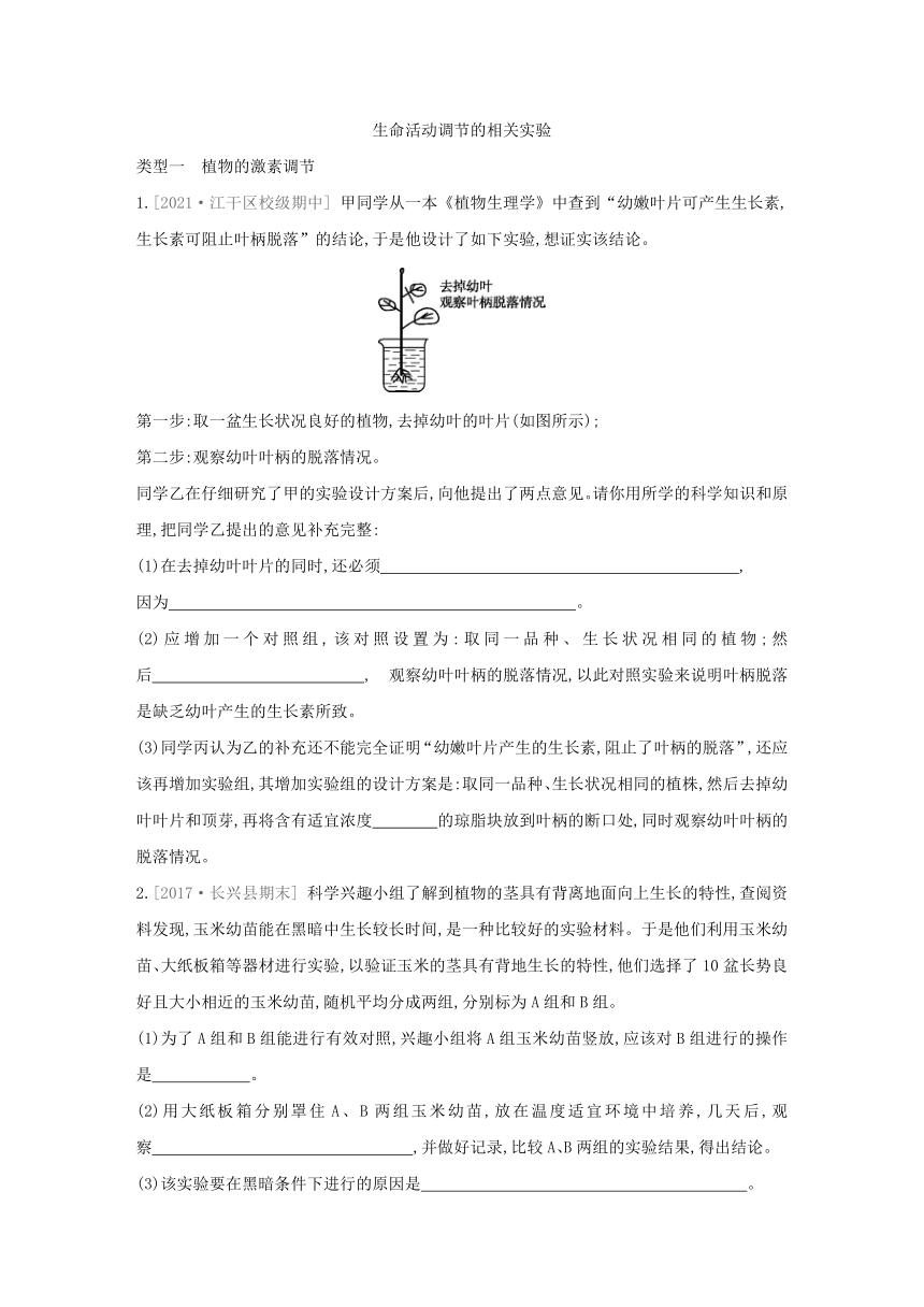 浙教版科学八年级上册同步提优训练：专题 生命活动调节的相关实验（含解析）