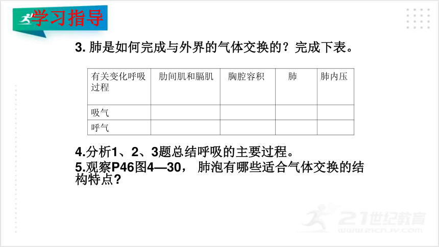 4.3.2 发生在肺内的气体交换课件（共25张PPT）