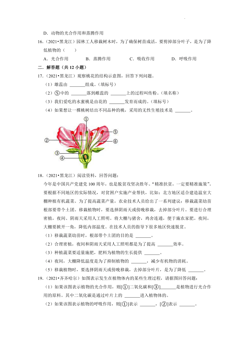 2022年黑龙江省中考生物二轮专题练3-绿色植物（Word版含答案解析）