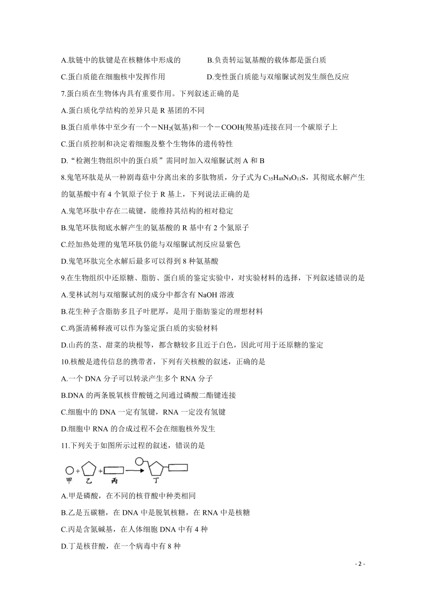 2020-2021学年河南省洛阳市豫西名校高二下学期期末联考 生物 （Word版含解析）