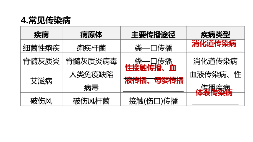 2022年浙江省中考科学一轮复习 第11课时　人、健康和环境（课件 30张PPT）