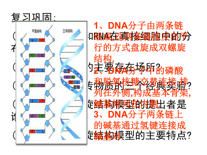 2020-2021学年高二下学期生物人教版选修一5.1DNA的粗提取与鉴定课件（21张ppt）