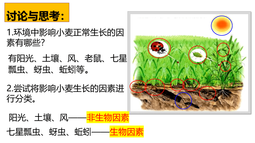 2022--2023学年人教版生物七年级上册 2.1.1生物与环境的关系 第一课时课件（ 含视频 共31张PPT）