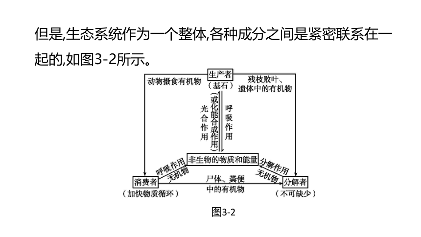 2022年浙江省中考科学一轮复习 第03课时　种群、群落、生态系统和生物圈（课件 46张PPT）