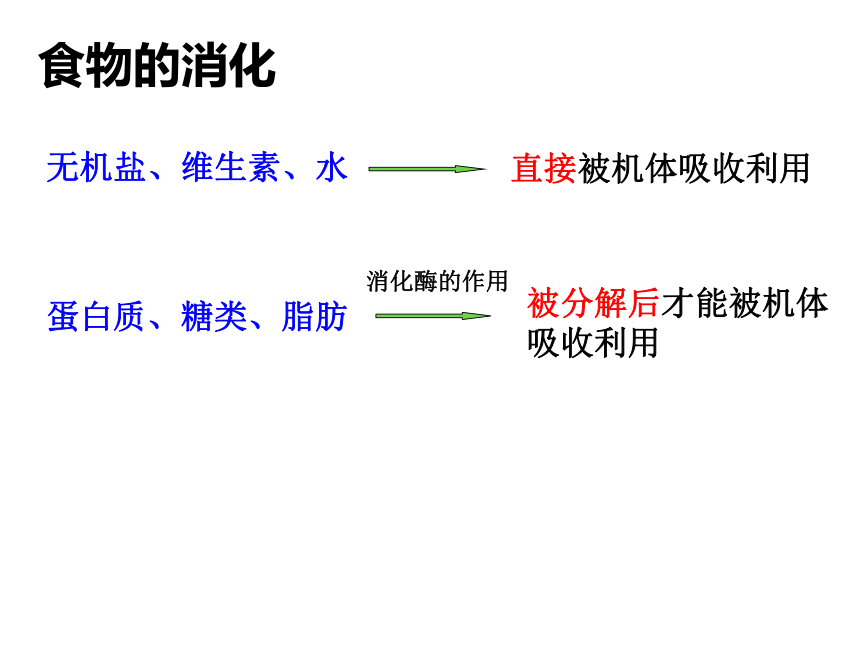 2021--2022学年冀少版七年级生物下册2.1.2食物的消化（一）食物在口腔中的消化课件(共20张PPT)