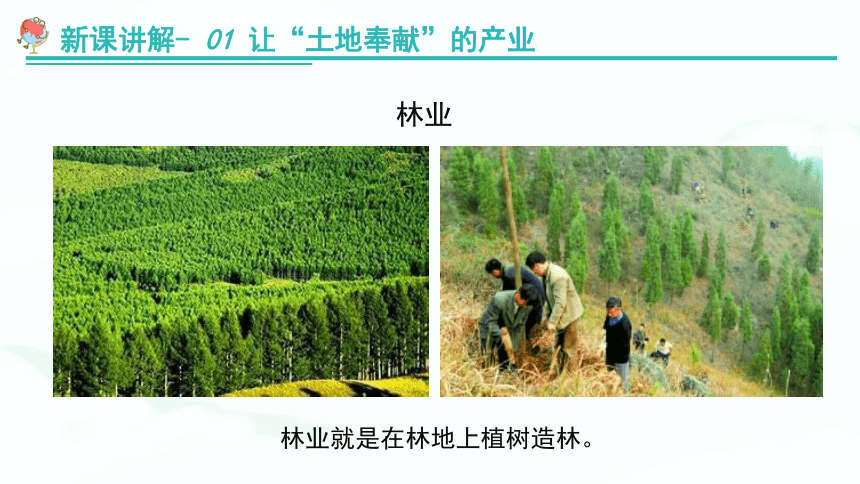 【推荐】湘教版八上地理《4.1农业》 教学课件（共55张PPT）