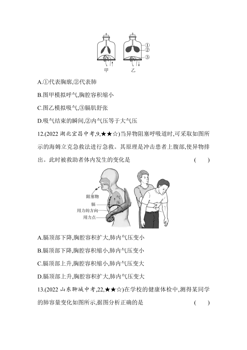 3.2.1 人体与外界的气体交换同步练习（含解析）济南版生物七年级下册