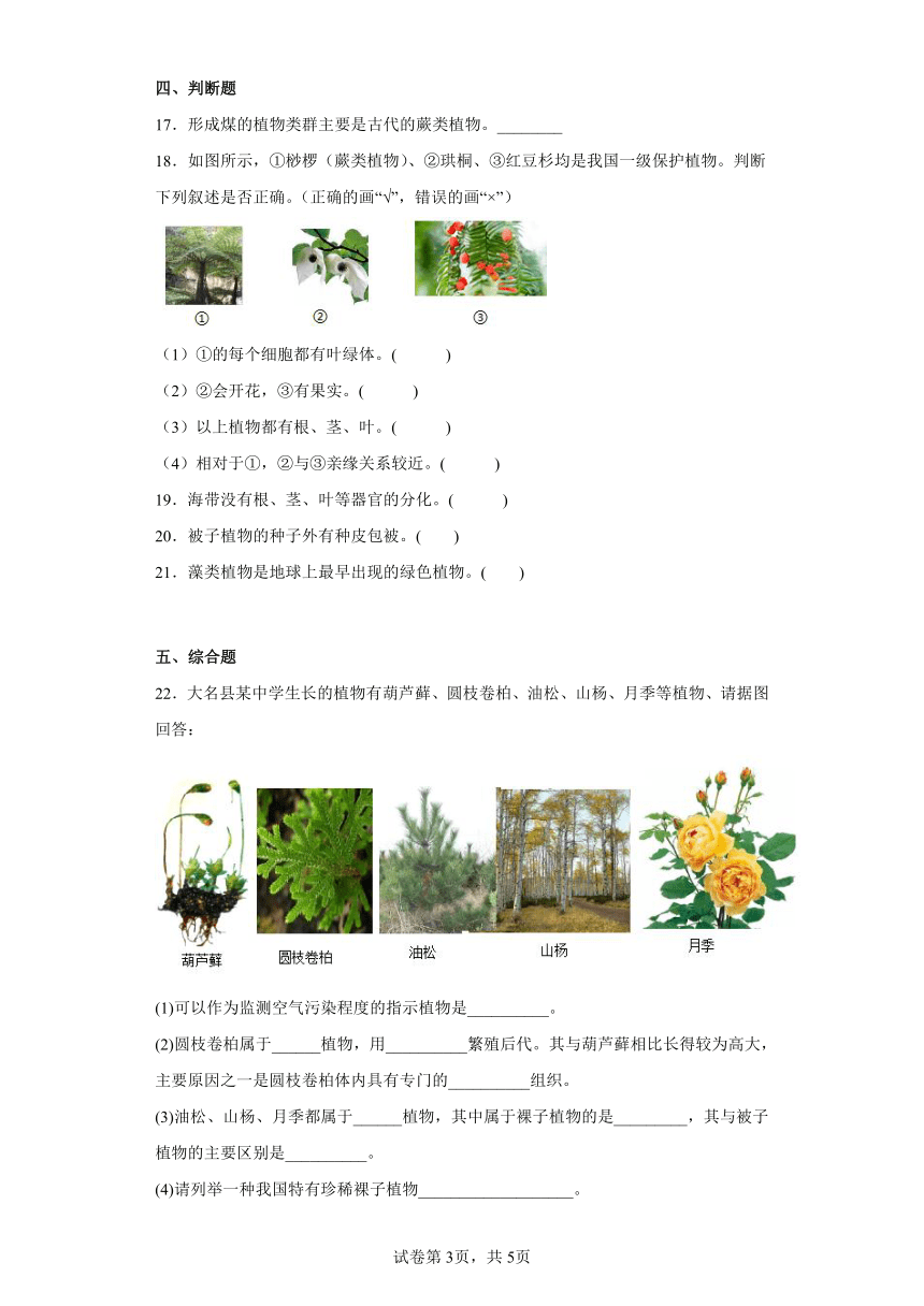 第三单元第一章生物圈中有哪些绿色植物训练题（含答案）人教版七年级上册生物