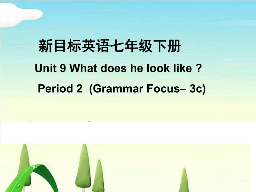 人教版七年级下册 Unit9 What does he look like？ SectionA Grammar Focus-3c 课件(共20张PPT)