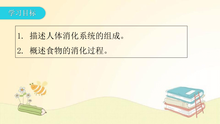 4.8.2 食物的消化和营养物质的吸收  第1课时复习 课件(共32张PPT) 北师大版七年级生物下册