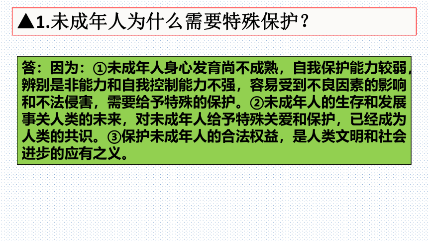 第十课法律伴我们成长复习课件（28张幻灯片）