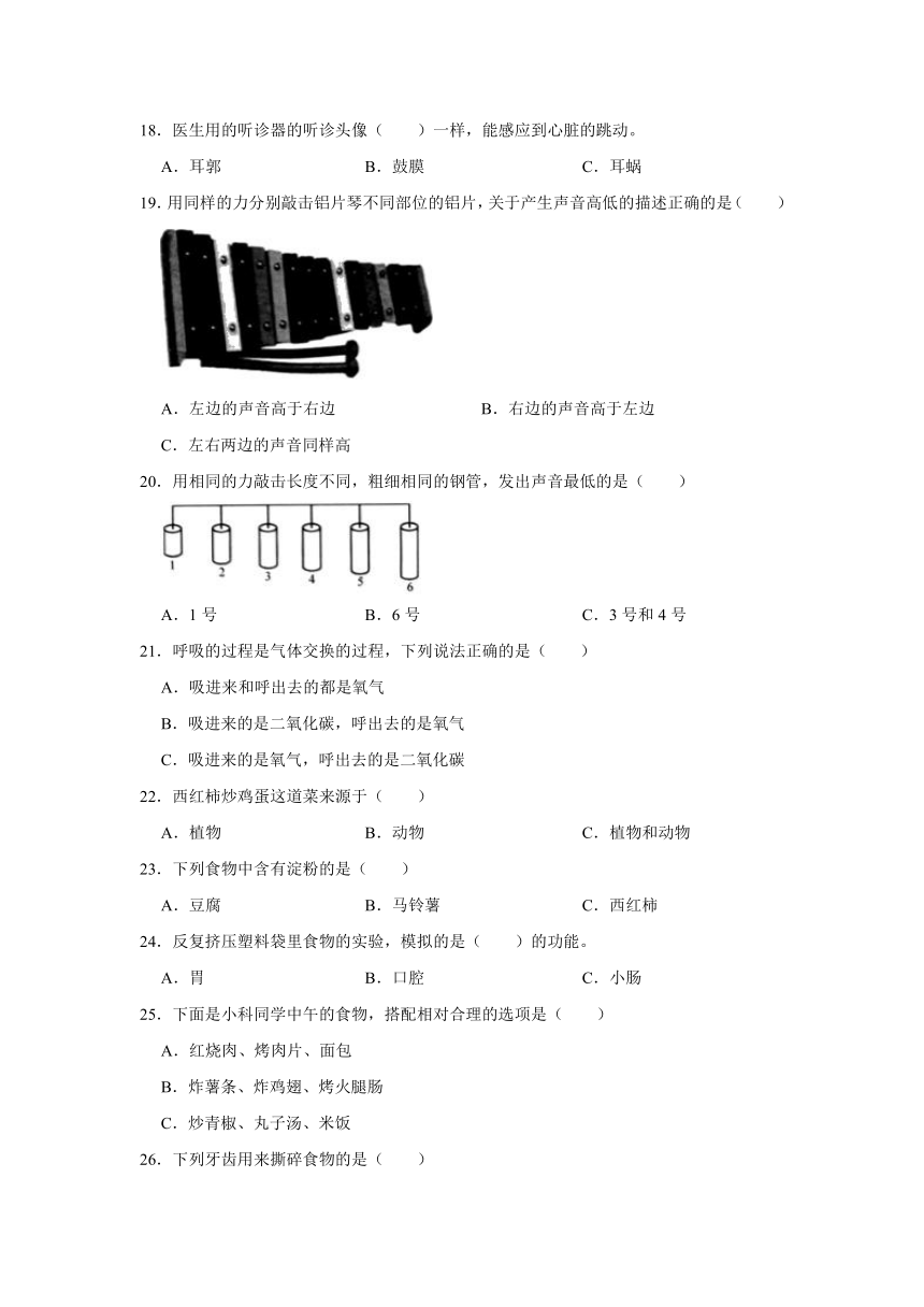 2022-2023学年河北省廊坊市三河市四年级（上）期末科学试卷（含答案）