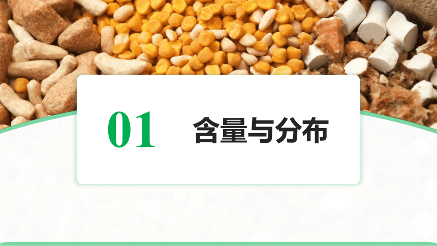 1.2.5钙、磷的营养作用与缺乏症 课件(共67张PPT)-《畜禽营养与饲料》同步教学（高教版）