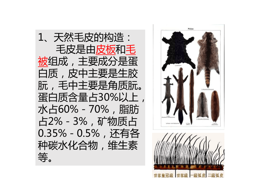 5.1裘皮与皮革 课件(共49张PPT)-《服装材料》同步教学（中国纺织出版社）